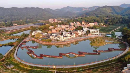 第二批廣東省鄉(xiāng)村旅游精品線路名單公示,博羅 龍門上榜