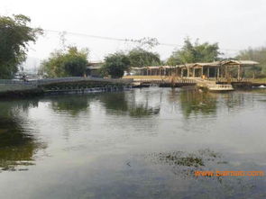 崇左知名的那馬竹泉島景區(qū) 南寧那馬竹泉島景區(qū)團購 乘風(fēng)寨馬場, 崇左知名的那馬竹泉島景區(qū) 南寧那馬竹泉島景區(qū)團購 乘風(fēng)寨馬場生產(chǎn)廠家, 崇左知名的那馬竹泉島景區(qū)