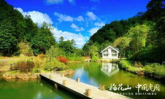 就差你了 中國虎園梅花山音樂啤酒節(jié)自駕二日游招募中