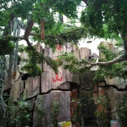 御景生態園酒店電話,地址,營業時間 泰安美食