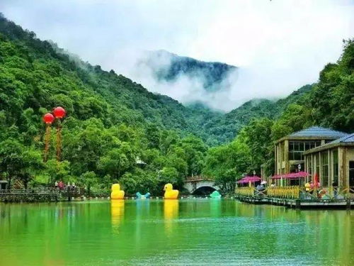 快看 博羅這些地方入選惠州市第二批鄉村旅游精品線路