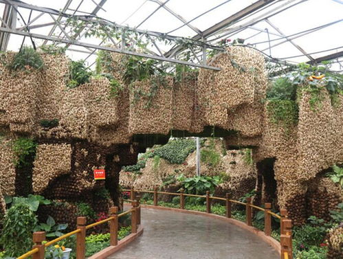 壽光家庭農業科技生態園設計公司