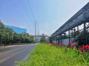 九龍?zhí)渡鷳B(tài)園 獨(dú)特生態(tài)旅游體驗(yàn)震撼市民心靈