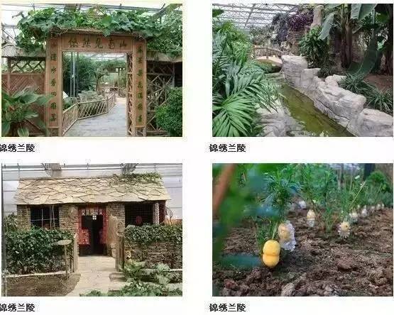 金秋之旅 蘭陵生態(tài)園賞向陽(yáng)花、品美酒一日游