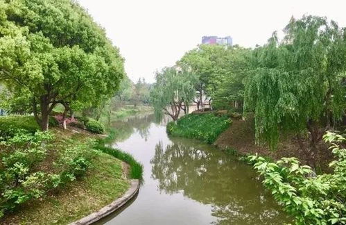 常熟奉賢手牽手，九龍?zhí)渡鷳B(tài)園繪就跨區(qū)域文旅新篇章