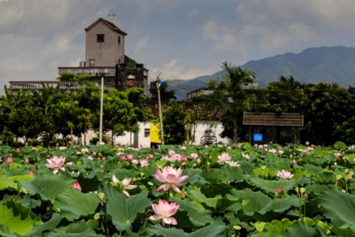 快看！博羅九龍?zhí)渡鷳B(tài)園入選惠州市第二批鄉(xiāng)村旅游精品線路